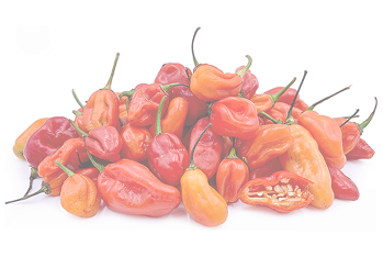 Peppers