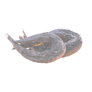 Dried fish